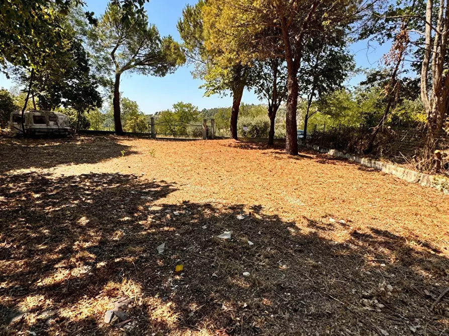 Immagine 10 di Terreno residenziale in vendita  a Montegiorgio