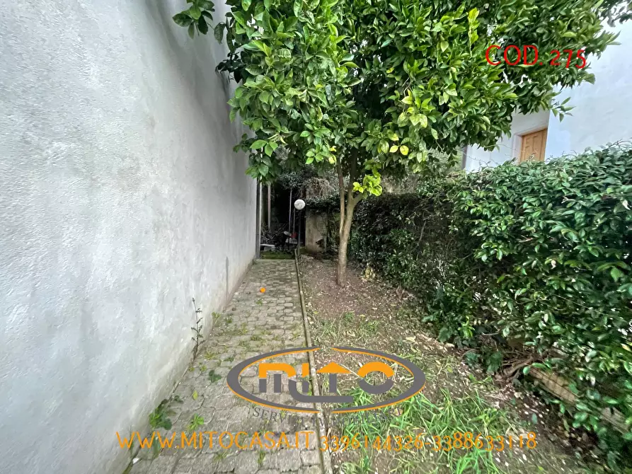 Immagine 16 di Casa indipendente in vendita  in CASALDUNI VIA P. GUGLIELMUCCI a Casalduni