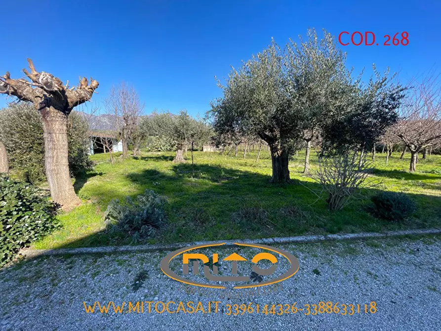 Immagine 7 di Villa in vendita  in telese GRANDE HOTEL a Telese Terme