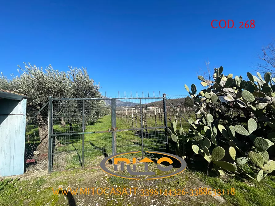 Immagine 8 di Villa in vendita  in telese GRANDE HOTEL a Telese Terme