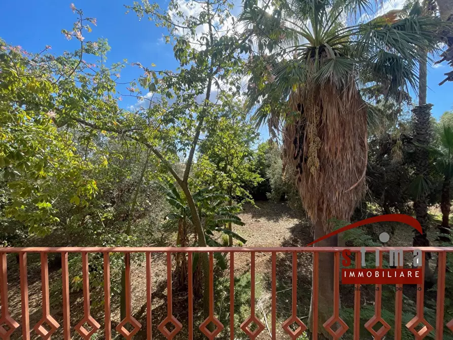 Immagine 6 di Villa in vendita  in via del gabbiano a Siracusa