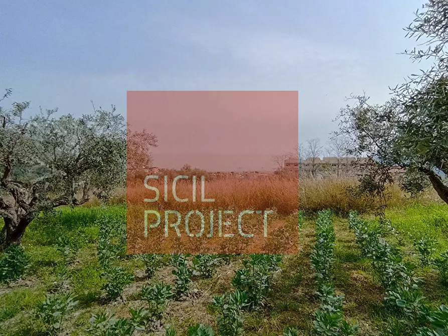 Immagine 3 di Terreno residenziale in vendita  in Contrada Cretazze a Monreale