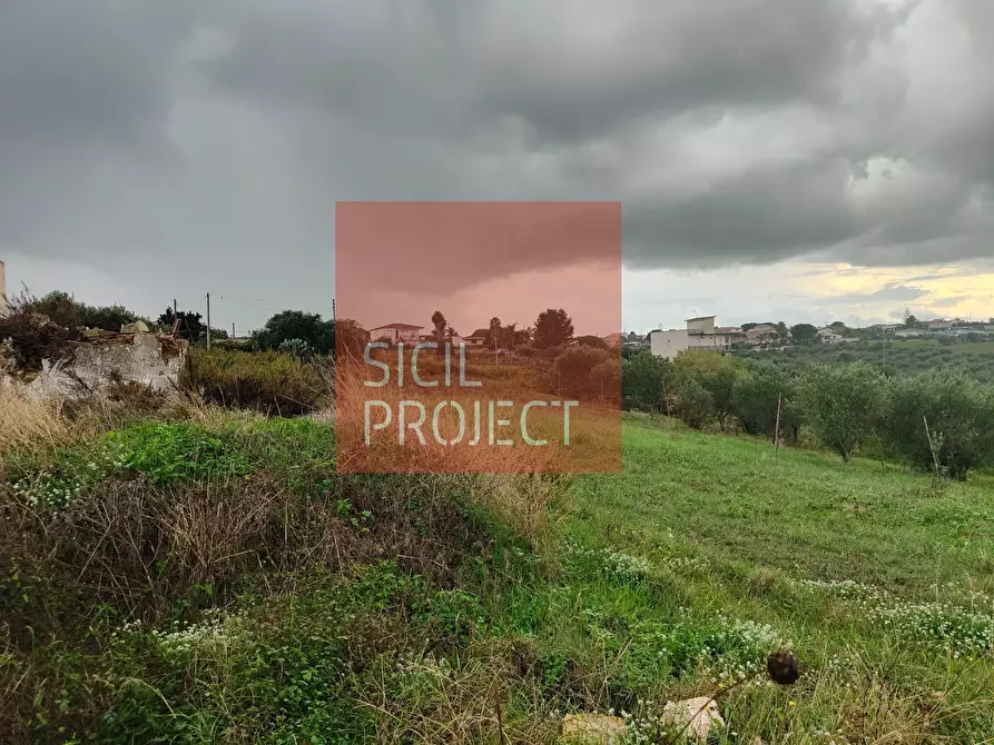 Immagine 1 di Terreno agricolo in vendita  in Contrada Bosco D'Alcamo a Alcamo