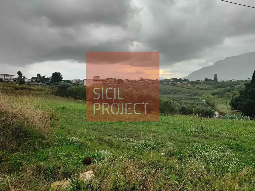 Immagine 2 di Terreno agricolo in vendita  in Contrada Bosco D'Alcamo a Alcamo