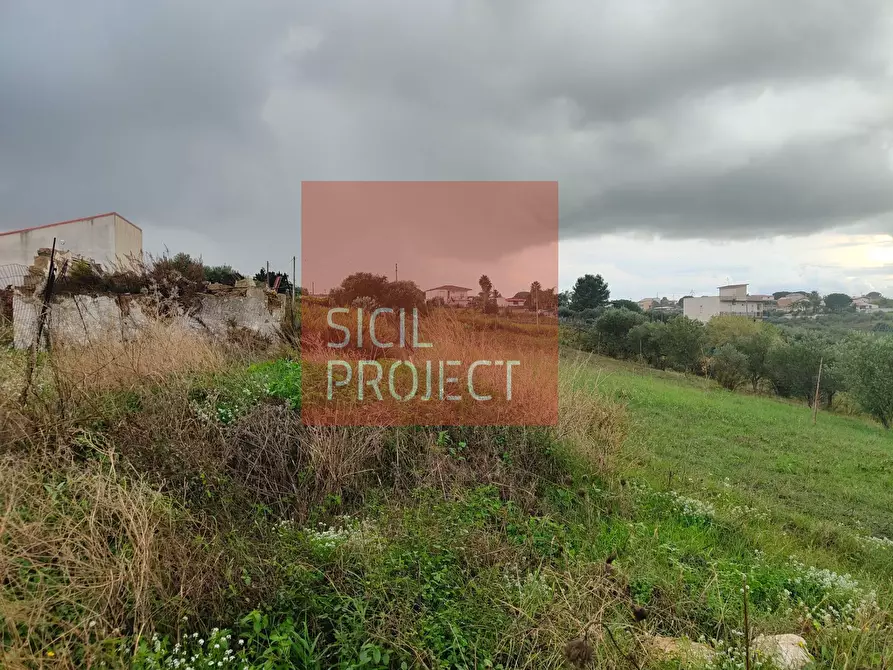 Immagine 3 di Terreno agricolo in vendita  in Contrada Bosco D'Alcamo a Alcamo