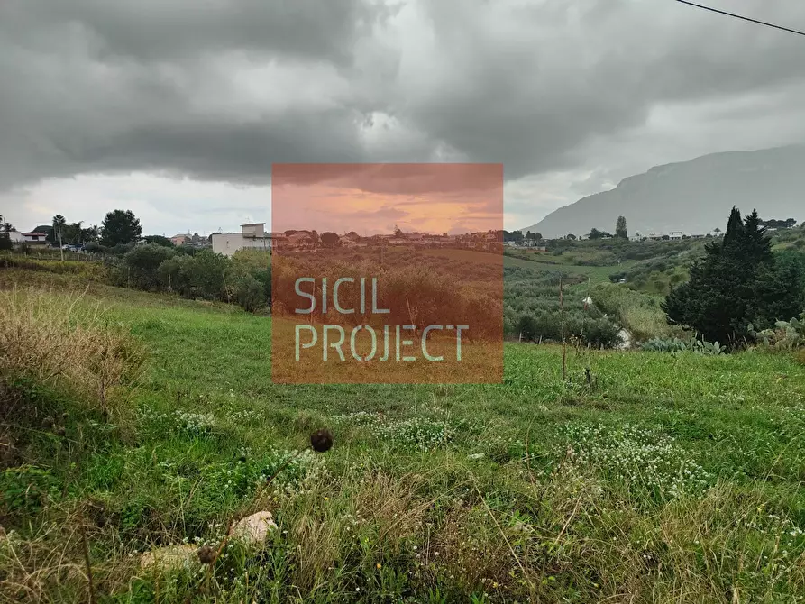 Immagine 4 di Terreno agricolo in vendita  in Contrada Bosco D'Alcamo a Alcamo