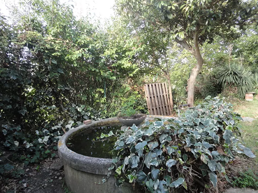 Immagine 25 di Villa in vendita  in Via Romita a Cupramontana