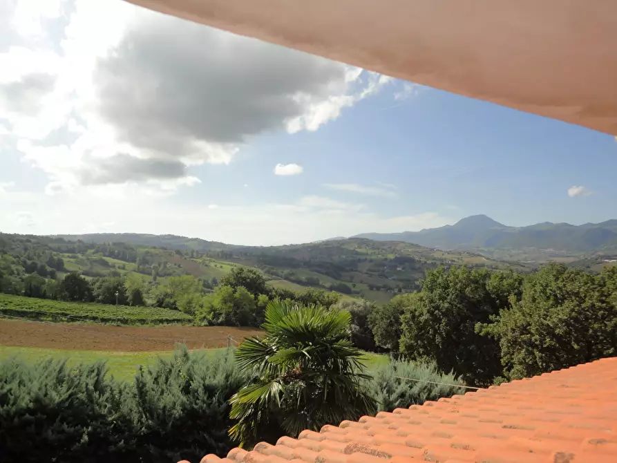 Immagine 23 di Villa in vendita  in Via Romita a Cupramontana