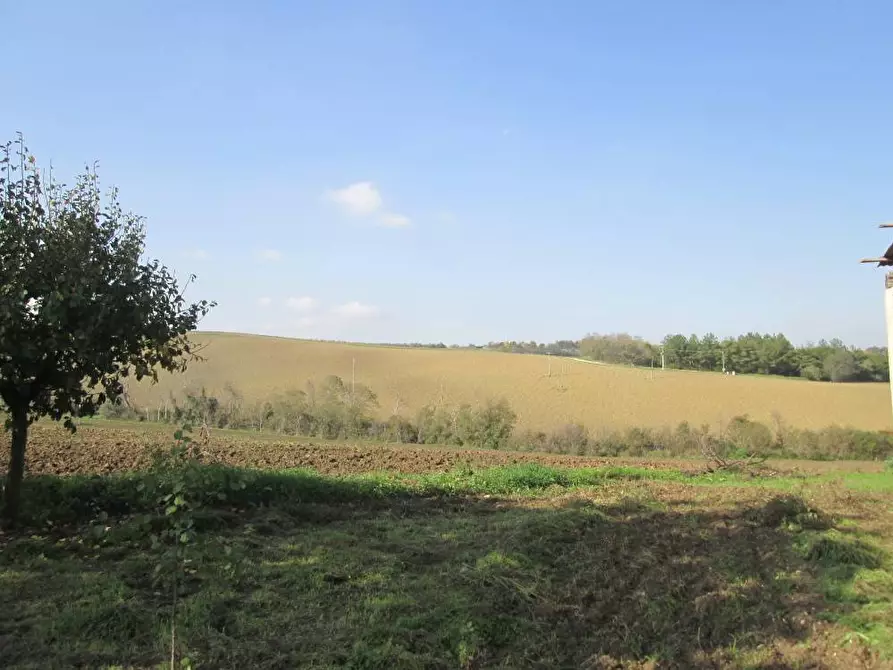 Immagine 12 di Rustico / casale in vendita  in via Gangalia Bassa a Jesi