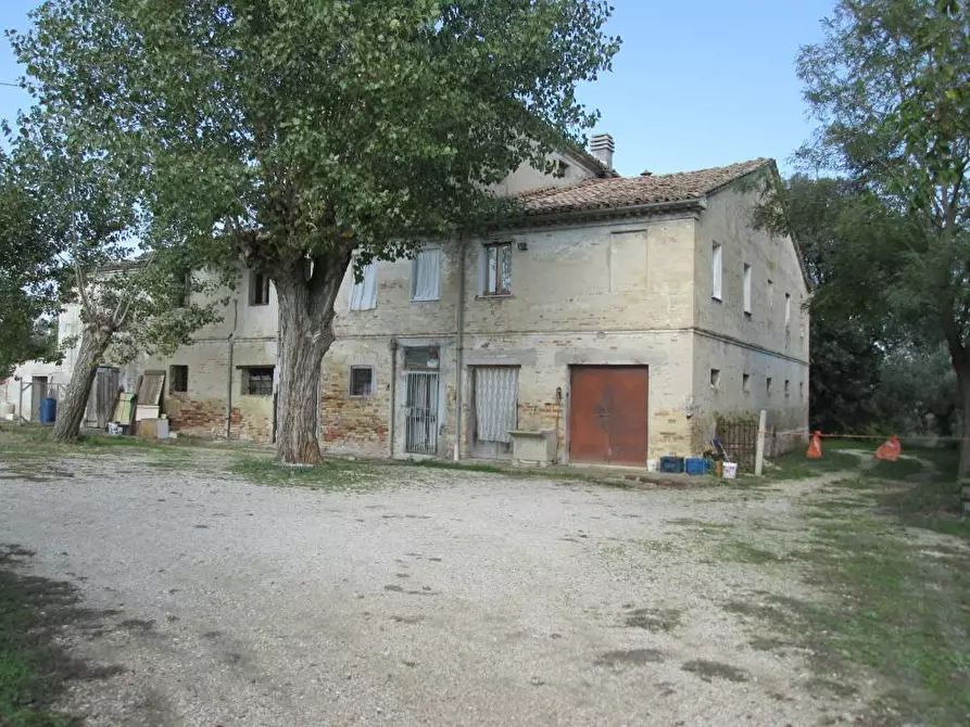 Immagine 3 di Rustico / casale in vendita  in via Gangalia Bassa a Jesi