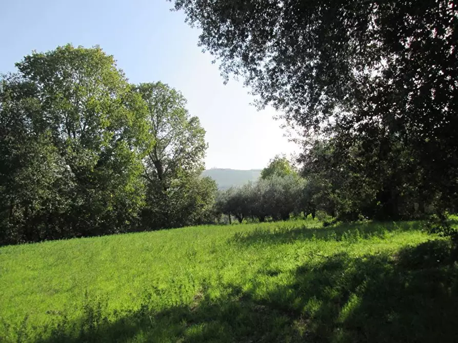 Immagine 10 di Rustico / casale in vendita  in via Gangalia Bassa a Jesi