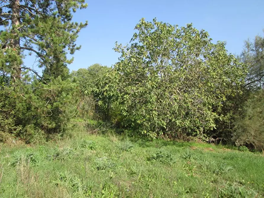 Immagine 13 di Rustico / casale in vendita  in via Gangalia Bassa a Jesi