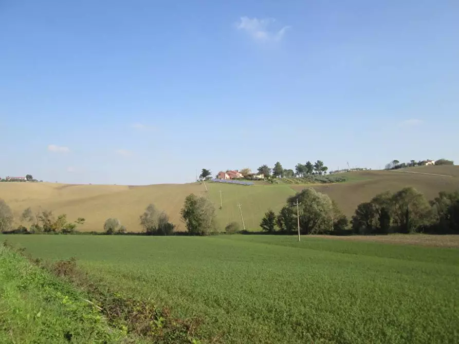 Immagine 14 di Rustico / casale in vendita  in via Gangalia Bassa a Jesi