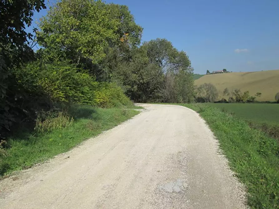 Immagine 11 di Rustico / casale in vendita  in via Gangalia Bassa a Jesi
