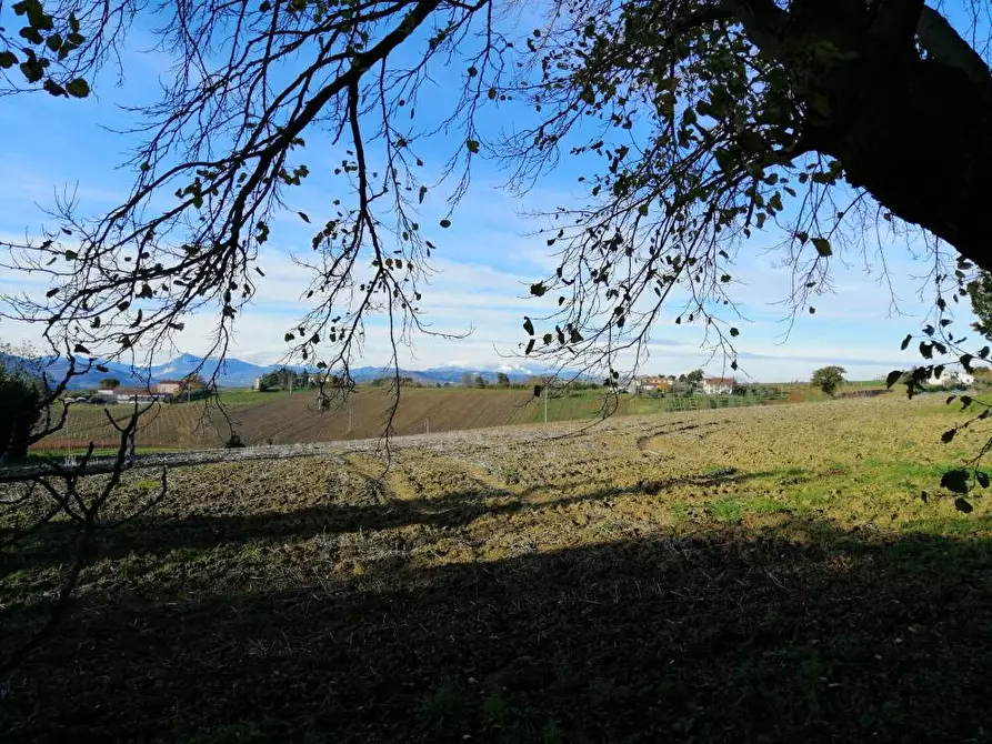 Immagine 6 di Terreno agricolo in vendita  in via Tabano a Jesi