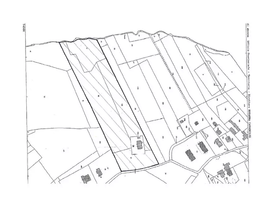 Immagine 7 di Terreno agricolo in vendita  in via Tabano a Jesi