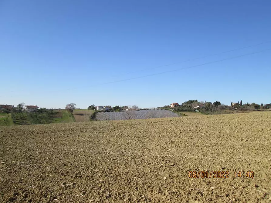 Immagine 2 di Terreno agricolo in vendita  in via Tabano a Jesi