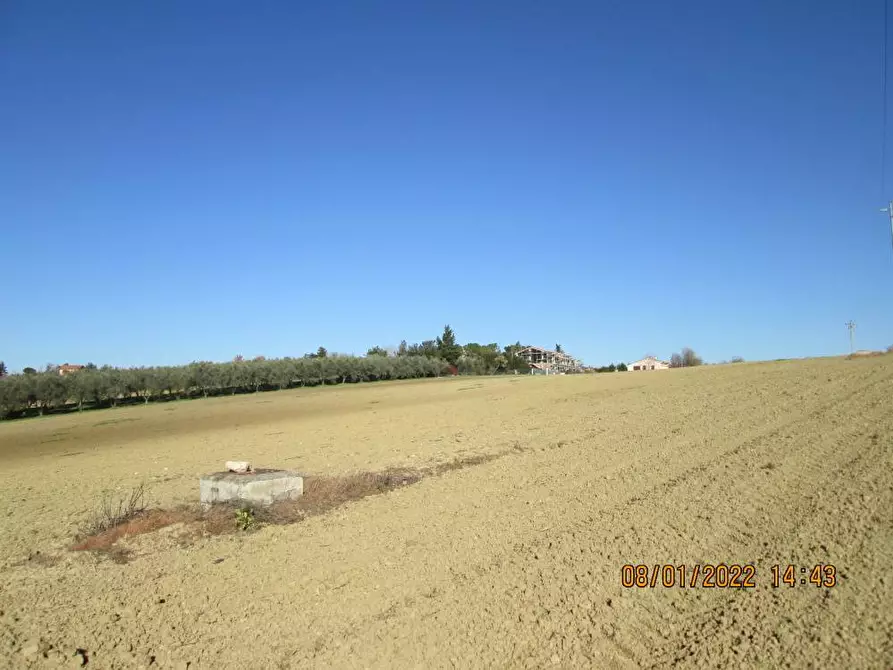 Immagine 3 di Terreno agricolo in vendita  in via Tabano a Jesi