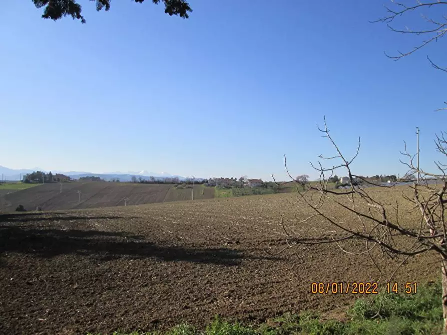 Immagine 4 di Terreno agricolo in vendita  in via Tabano a Jesi