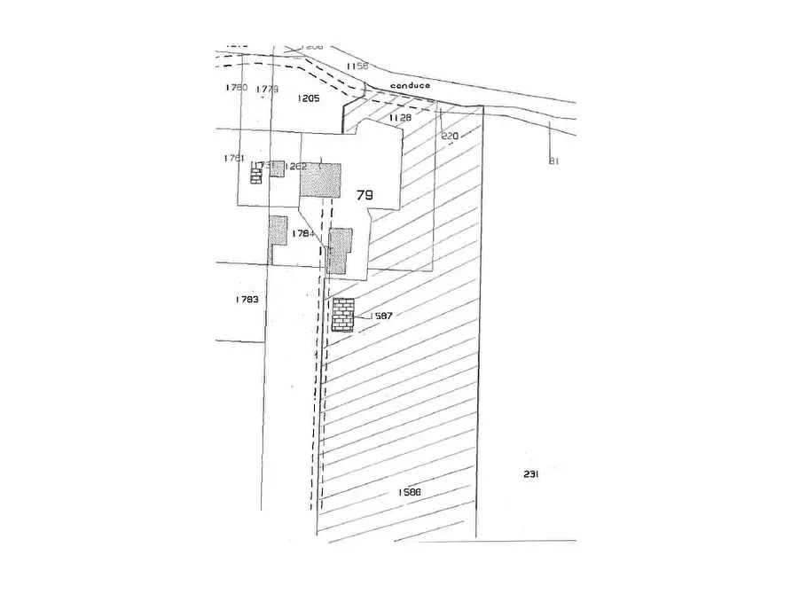 Immagine 9 di Agriturismo in vendita  in contrada  stazione a Castelbellino