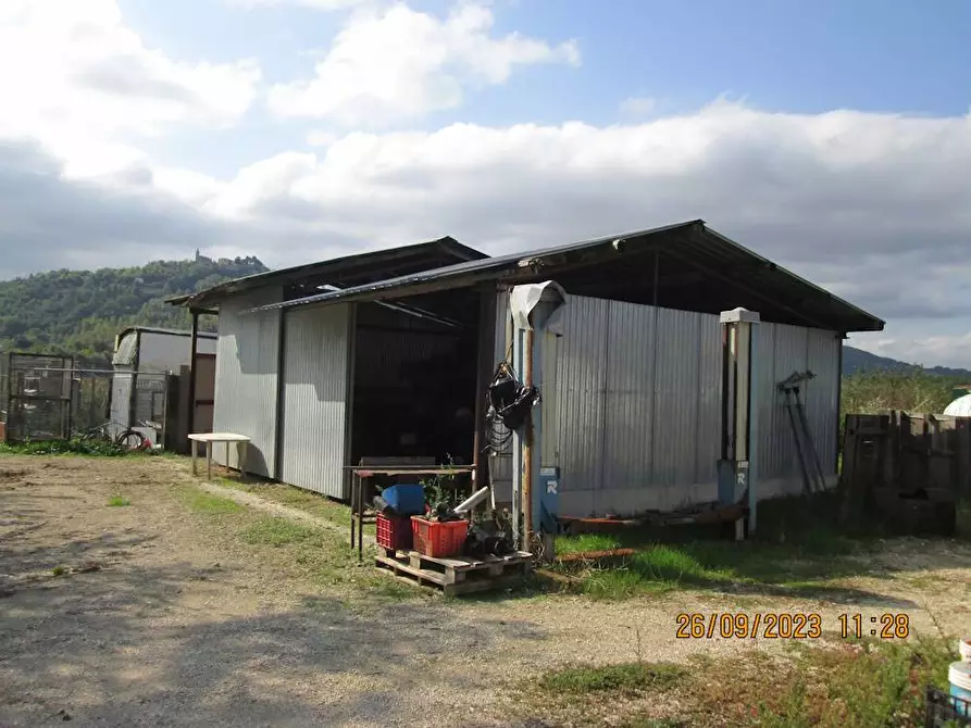 Immagine 4 di Agriturismo in vendita  in contrada  stazione a Castelbellino