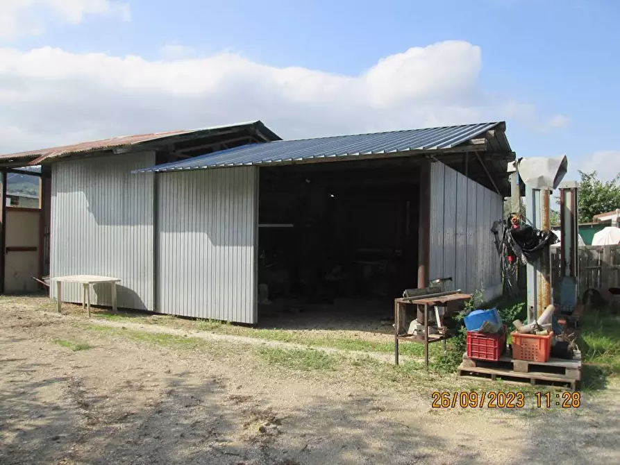 Immagine 3 di Agriturismo in vendita  in contrada  stazione a Castelbellino