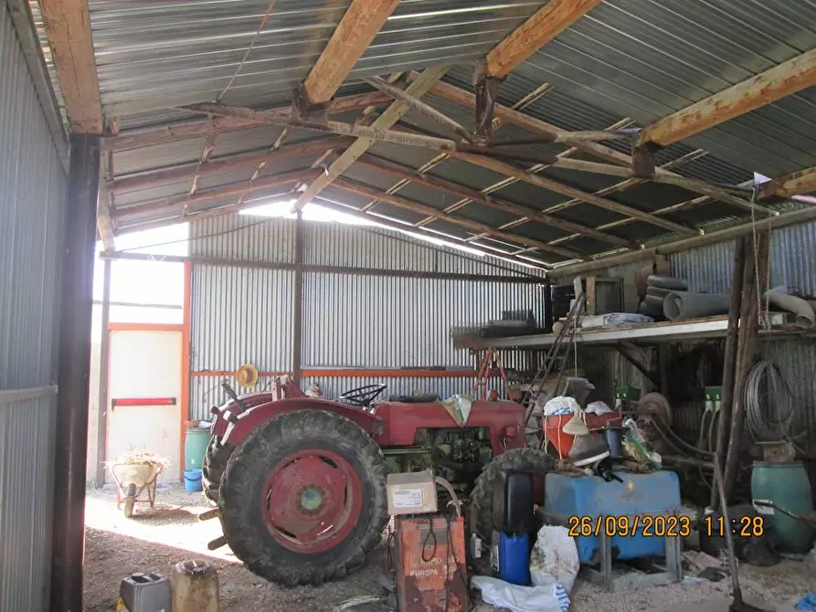 Immagine 6 di Agriturismo in vendita  in contrada  stazione a Castelbellino