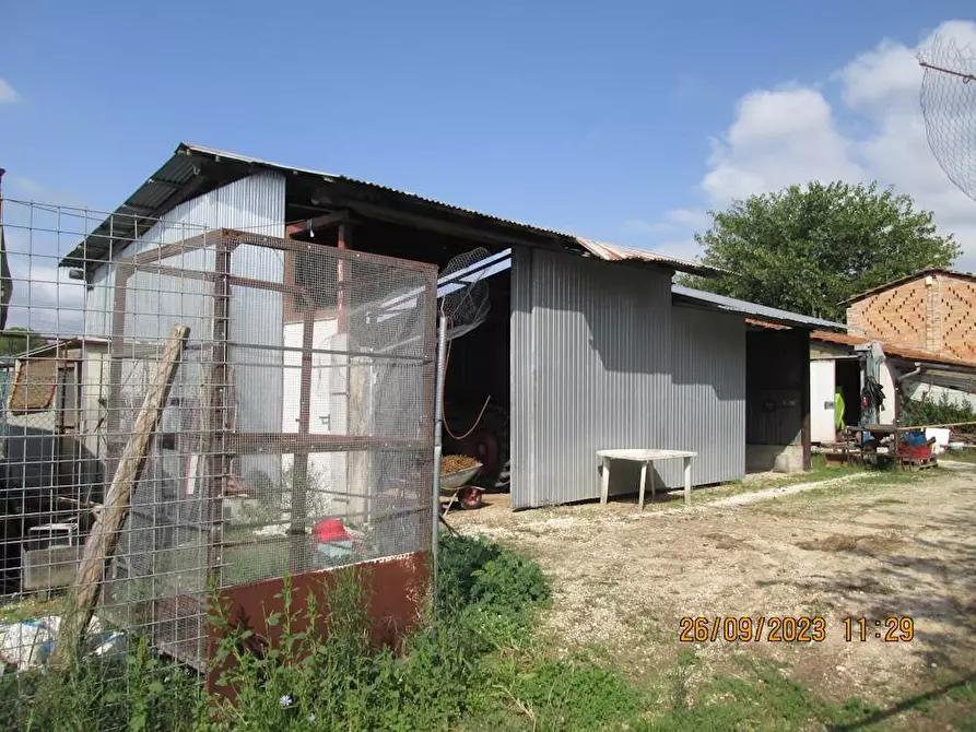 Immagine 5 di Agriturismo in vendita  in contrada  stazione a Castelbellino