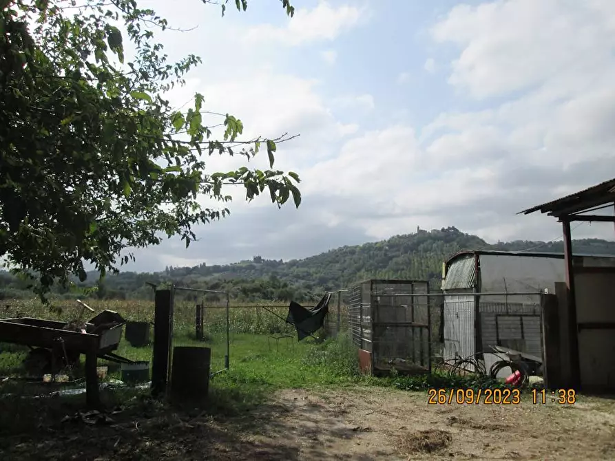 Immagine 8 di Agriturismo in vendita  in contrada  stazione a Castelbellino