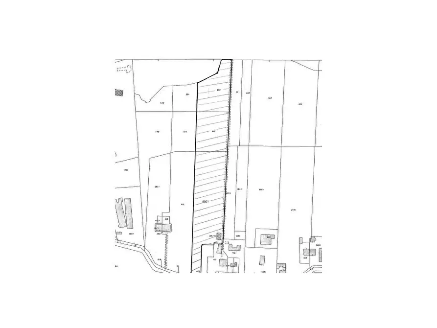 Immagine 7 di Agriturismo in vendita  in contrada  stazione a Castelbellino