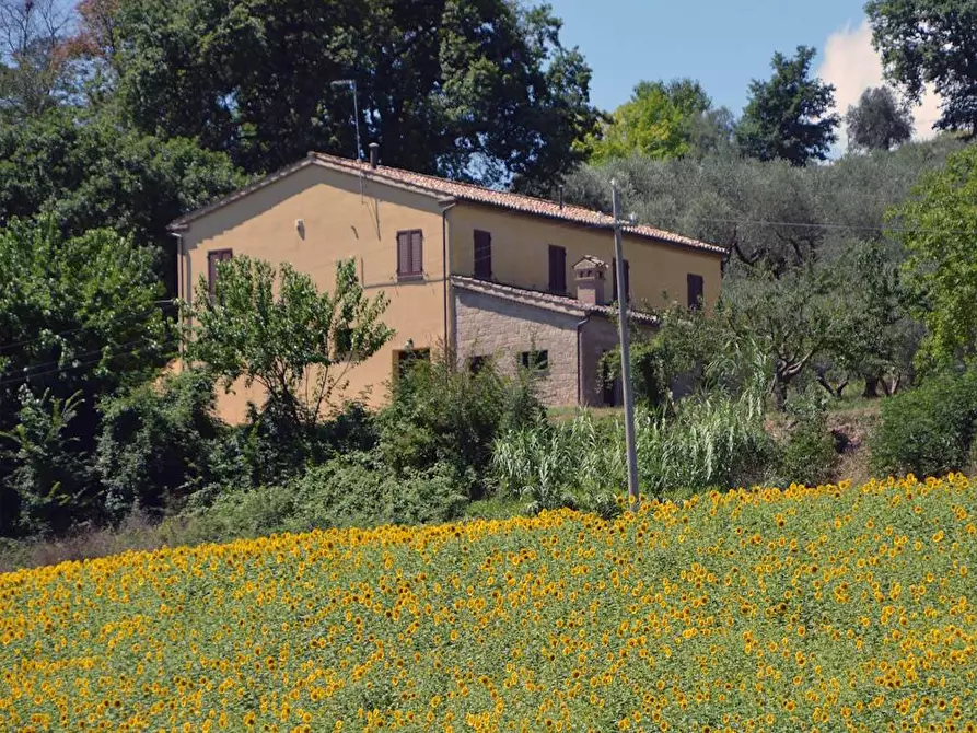 Immagine 1 di Villa in vendita  in Via Monticelli a Castelplanio