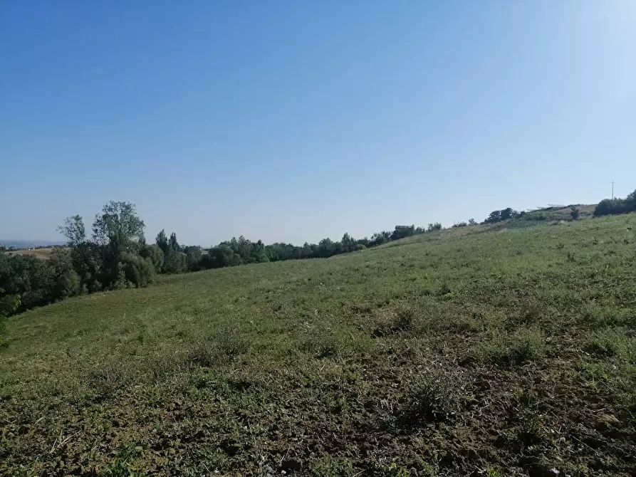 Immagine 4 di Rustico / casale in vendita  in via santa maria del monte a Poggio San Marcello