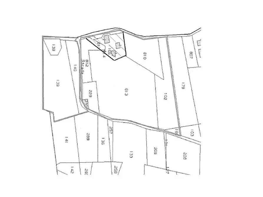 Immagine 6 di Terreno agricolo in vendita  a Serra De' Conti