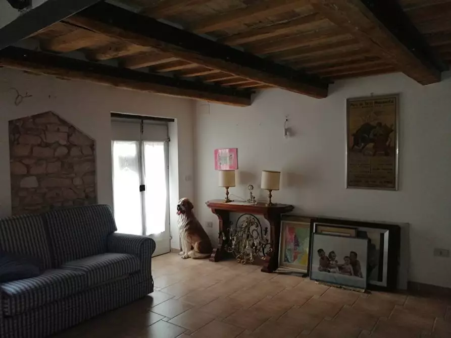 Immagine 24 di Appartamento in vendita  in piazza Balducci a Poggio San Vicino