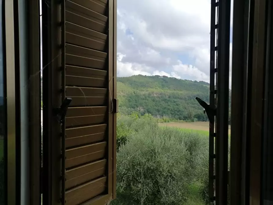 Immagine 8 di Rustico / casale in vendita  in Via Fochiusa est a Serra San Quirico