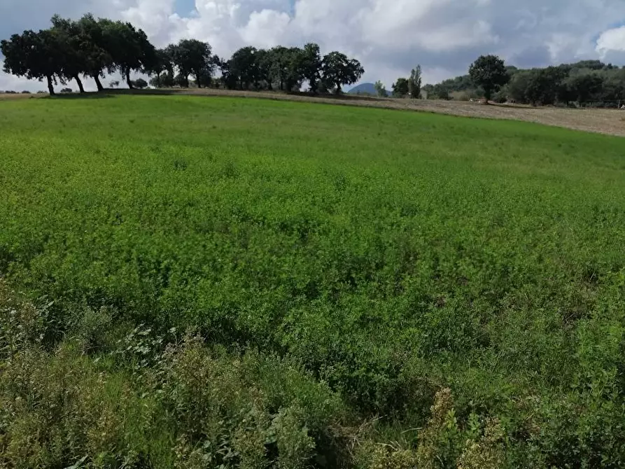 Immagine 28 di Rustico / casale in vendita  in Via Fochiusa est a Serra San Quirico