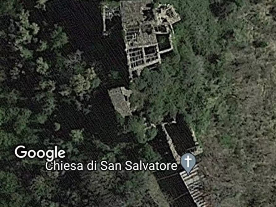 Immagine 1 di Terreno agricolo in vendita  a Spoleto