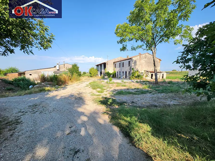 Immagine 23 di Rustico / casale in vendita  in dossetto a Povegliano Veronese