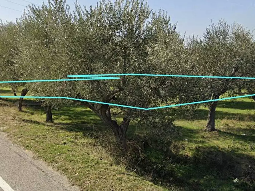 Immagine 3 di Terreno industriale in vendita  in Via Tordino a Castellalto