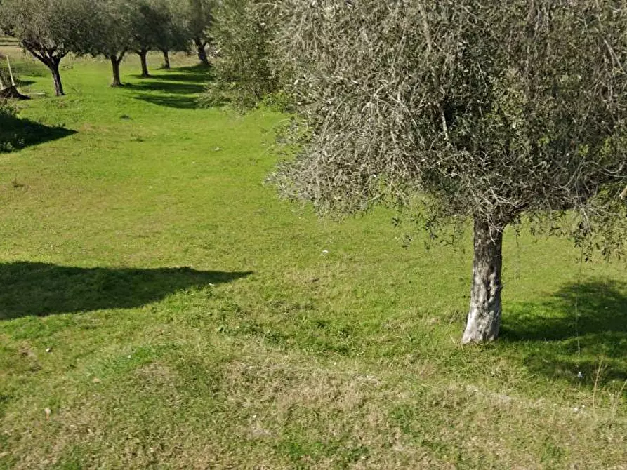 Immagine 2 di Terreno industriale in vendita  in Via Tordino a Castellalto