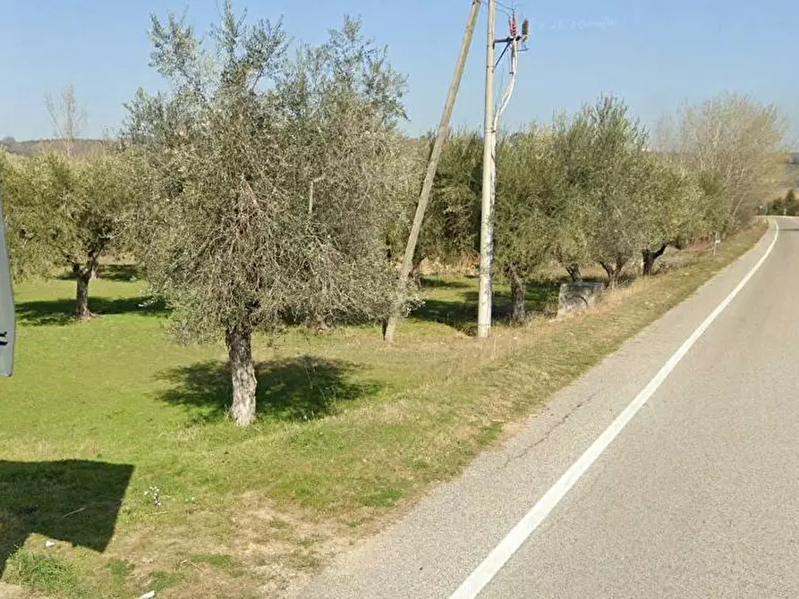 Immagine 1 di Terreno industriale in vendita  in Via Tordino a Castellalto