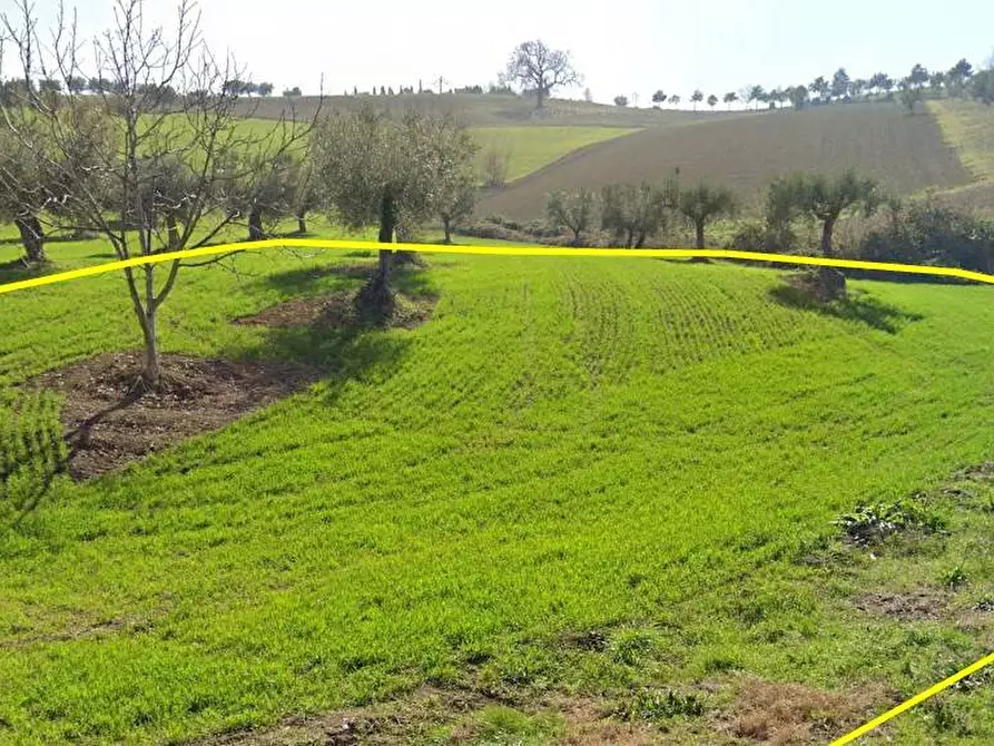Immagine 1 di Terreno residenziale in vendita  in Via Salara a Castellalto