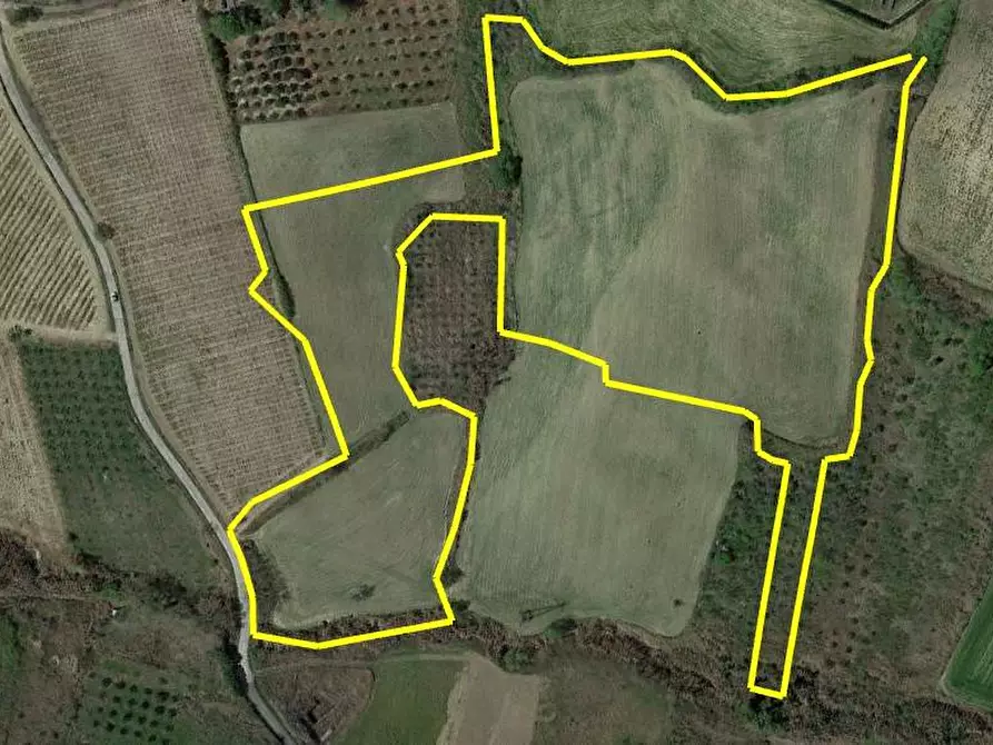 Immagine 4 di Terreno agricolo in vendita  in C.da Passo della carrozza a Monteodorisio