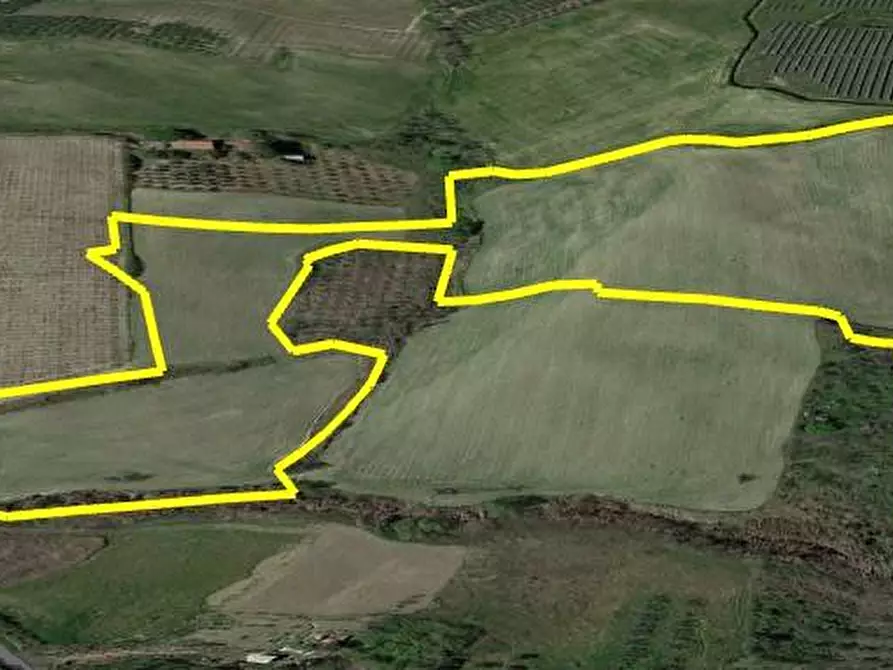 Immagine 3 di Terreno agricolo in vendita  in C.da Passo della carrozza a Monteodorisio