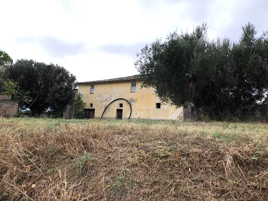 Immagine 3 di Rustico / casale in vendita  in Via della Madonna a Bellante