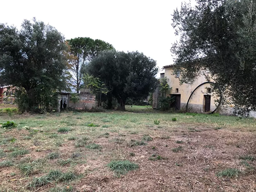 Immagine 10 di Rustico / casale in vendita  in Via della Madonna a Bellante