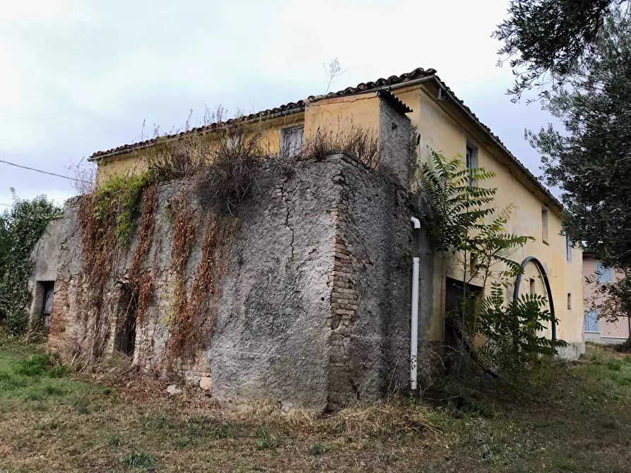 Immagine 4 di Rustico / casale in vendita  in Via della Madonna a Bellante