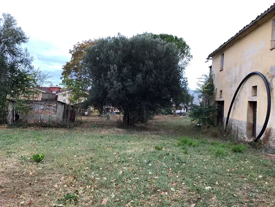 Immagine 9 di Rustico / casale in vendita  in Via della Madonna a Bellante