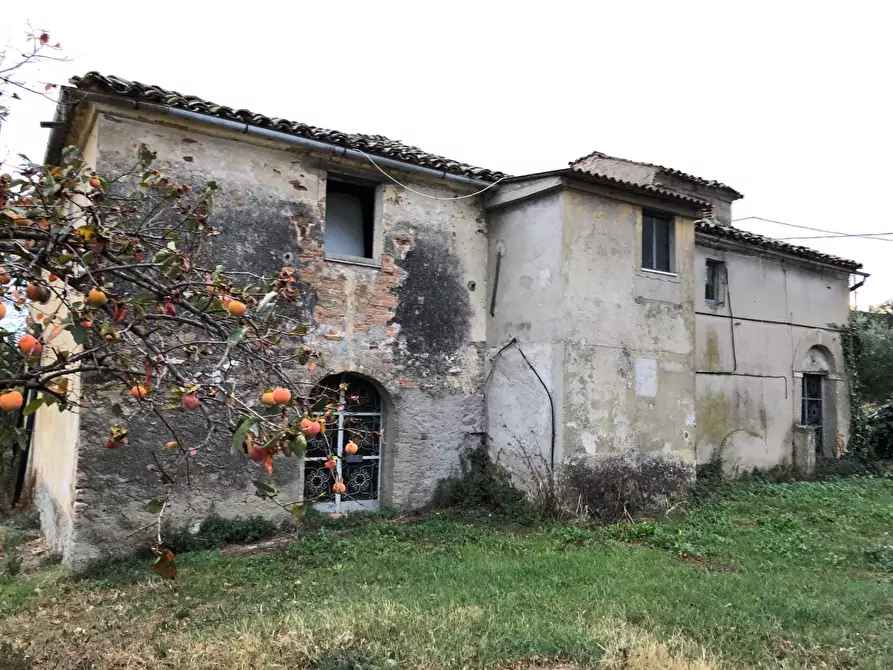 Immagine 6 di Rustico / casale in vendita  in Via della Madonna a Bellante