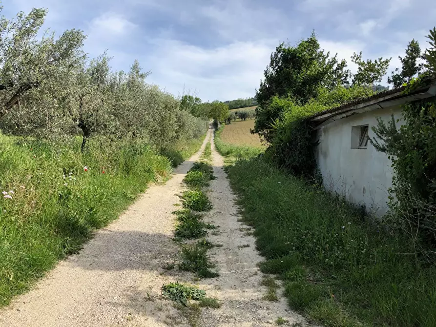 Immagine 28 di Rustico / casale in vendita  in Via Chieti a Castellalto